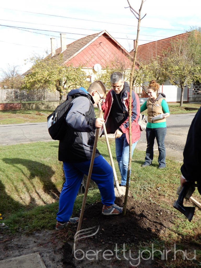 Közösségi faültetés Berettyóújfaluban 55
